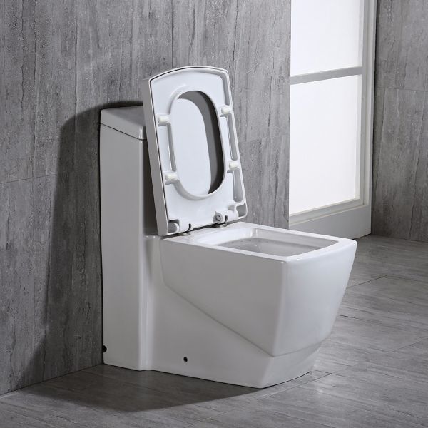  WOODBRIDGE T-0020 Dual Flush Elongated One Piece Toilet , Chair Height with Soft Closing Seat, Deluxe Square Design