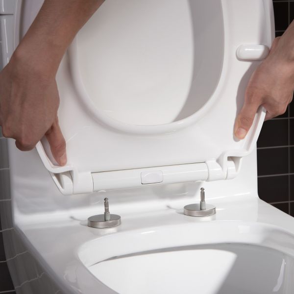  WOODBRIDGE Moder Design, Elongated One piece Toilet Dual flush 1.0/1.6 GPF,with Soft Closing Seat, white, T-0032(2 -Pack)_6483
