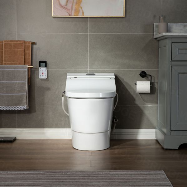  WOODBRIDGE Toilet & Bidet Luxury Elongated One Piece Advanced Smart Seat with Temperature Controlled Wash Functions and Air Dryer, Toilet with Bidet. T-0737, Bidet & Toilet_9719