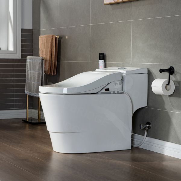  WOODBRIDGE Toilet & Bidet Luxury Elongated One Piece Advanced Smart Seat with Temperature Controlled Wash Functions and Air Dryer, Toilet with Bidet. T-0737, Bidet & Toilet_9732